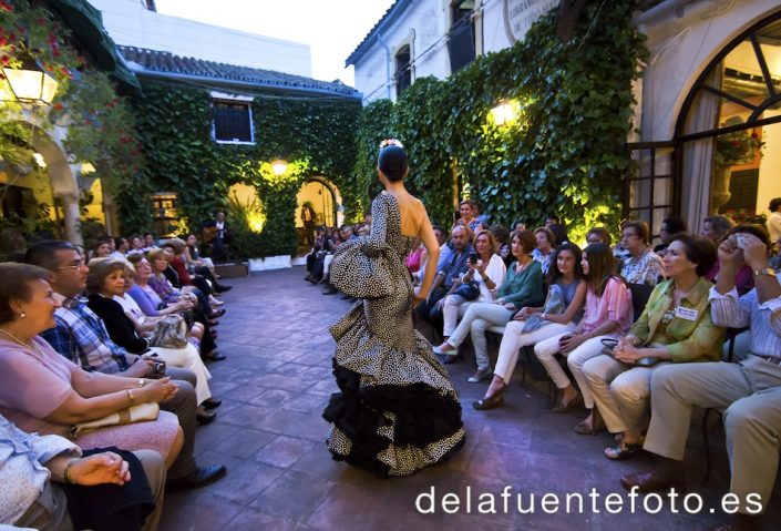 Desfile benéfico de trajes flamencos en favor de Madre Coraje. 19 de Abril de 2013 en Bodegas Campos. De la Fuente Fotografía.