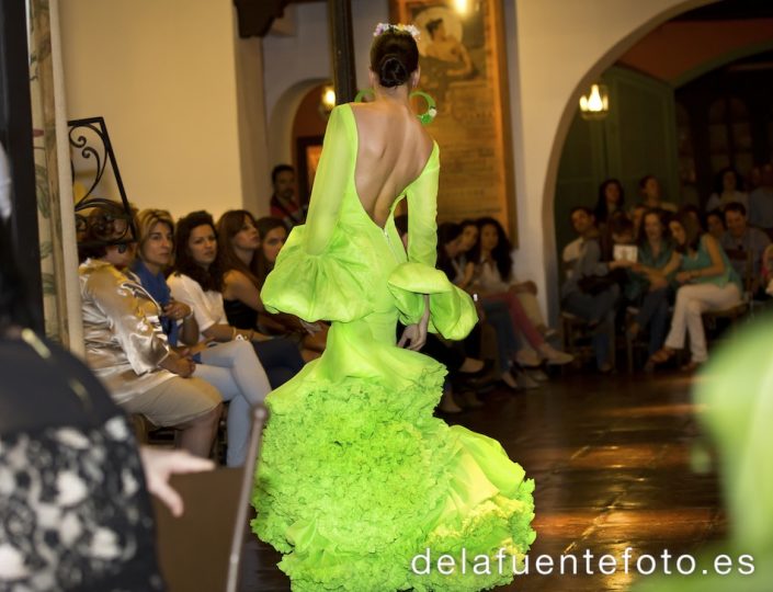 Desfile benéfico de trajes flamencos en favor de Madre Coraje. 19 de Abril de 2013 en Bodegas Campos. De la Fuente Fotografía.